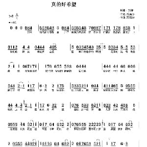 真的好希望_通俗唱法乐谱_词曲:邓海华 邓海华