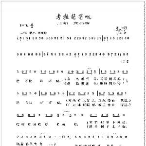 考拉萌萌哒_歌曲简谱_词曲:巍岚 龚耀年