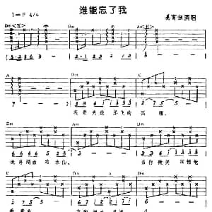 谁能忘了我 吉他谱 姜育恒
