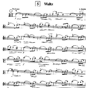 Waltz 中提琴