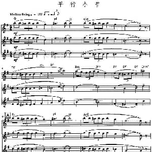 长笛曲谱 | 平行小节 三重奏