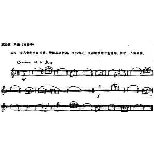 长笛曲谱 | 长笛练习曲100课之第23课 乐曲 绿柚子 d小调式