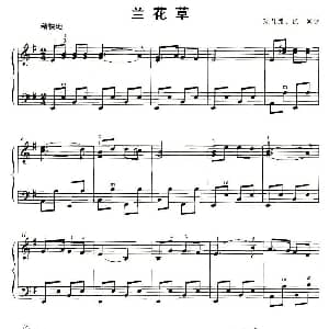 手风琴谱 | 兰花草 陈贤德 张弼