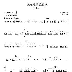 葫芦丝谱 | 掀起你的盖头来 王洛宾编曲