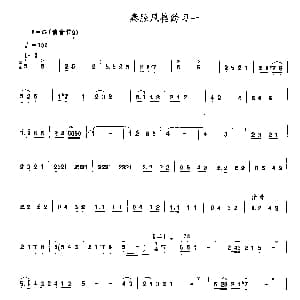秦腔风格练习曲一 唢呐