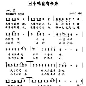 丑小鸭也有未来_通俗唱法乐谱_词曲:郑兴文 郑兴文