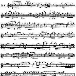 长笛曲谱 | 二十首练习曲作品131号 NO.6 Garibold 加里波第