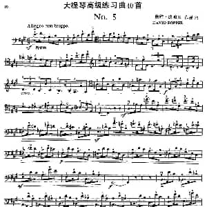 大提琴高级练习曲40首 No.5 戴维 波帕尔