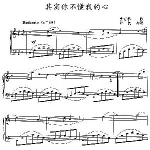 其实你不懂我的心 钢琴谱