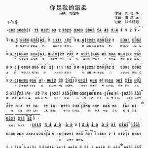 你是我的温柔_歌谱投稿_词曲:刘德华 黄庆元