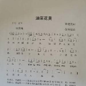 油菜花黄_歌曲简谱_词曲:毕健民 段福培