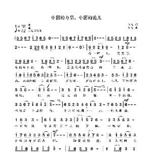 中国的力量,中国的范儿_歌曲简谱_词曲:袁龙 袁龙