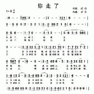 你走了_通俗唱法乐谱_词曲:红雨 快乐老天