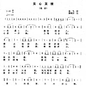 真心真情_通俗唱法乐谱_词曲:吴飞 曾腾芳