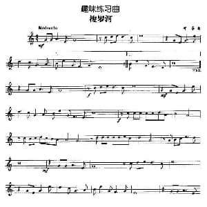 趣味练习曲 梭罗河 可桑