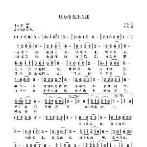 魅力南充让人迷_歌曲简谱_词曲:袁龙 袁龙