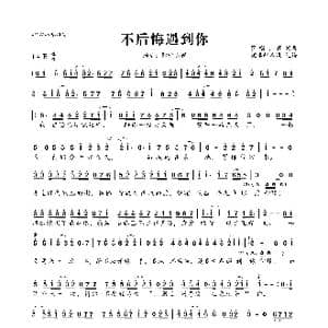 不后悔遇到你_歌曲简谱_词曲:弹唱小蓉 弹唱小蓉