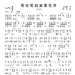 等你等到油菜花开_歌曲简谱_词曲:刘爱斌 陆城