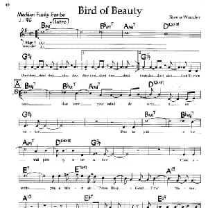 Bird of Beauty_外国歌谱