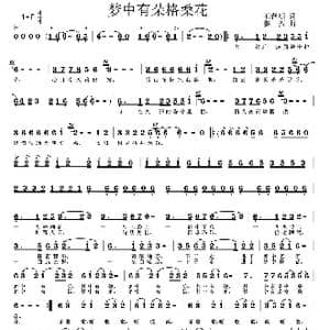 梦中有朵格桑花_歌曲简谱_词曲:王春明 姜振