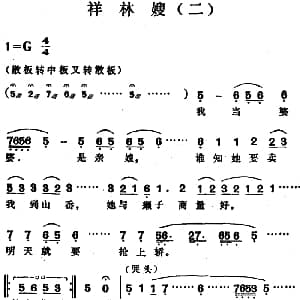 越剧谱 | 祥林嫂 二 袁雪芬