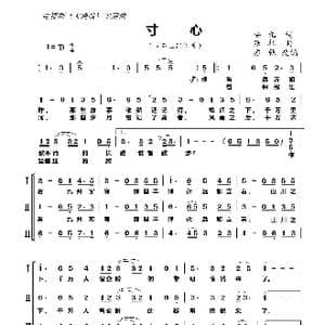 寸心_歌曲简谱_词曲:安九 张征