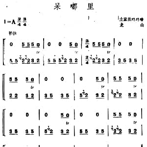 呆嘟里 土家族咚咚喹