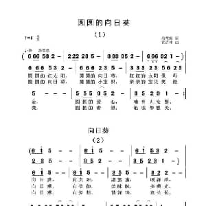 圆圆的向日葵_儿歌乐谱_词曲:梅花砚 黄清林