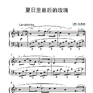 第二级 3.夏日里最后的玫瑰 钢琴谱 德 弗洛托