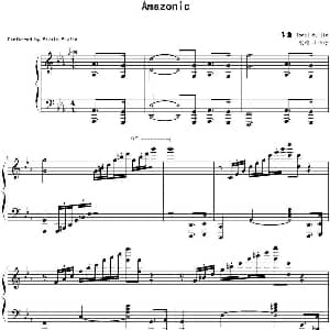 Amazonic 钢琴谱 Tonci Huljic作曲 小手仔制谱