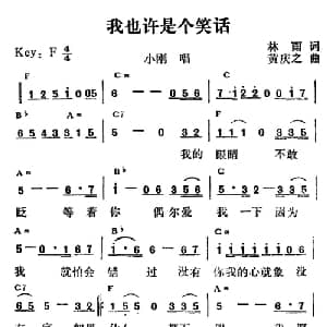我也许是个笑话_通俗唱法乐谱_词曲:林雨 黄庆之