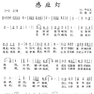 感应灯_通俗唱法乐谱_词曲:李文文 路遥