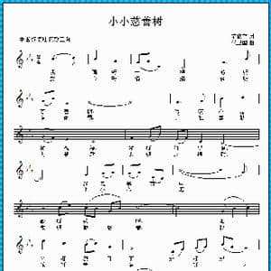 小小慈善树_歌曲简谱_词曲:范修奎 侯卫国