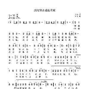 到戈壁去看流星雨_歌曲简谱_词曲:袁龙 袁龙