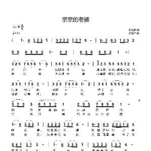 亲亲的老婆_歌曲简谱_词曲:许光辉 黄进军