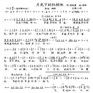 月光下的红树林_歌曲简谱_词曲:胡晓曼 姚峰