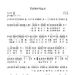 哥在风中等花开_歌曲简谱_词曲:袁龙 袁龙