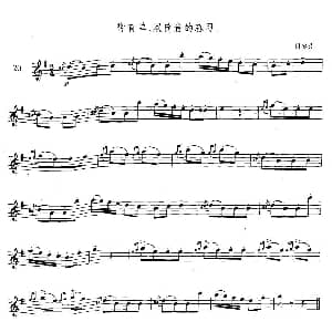 萨克斯谱 | 萨克斯练习曲合集 3—20 带有单 双倚音的练习 贝多芬