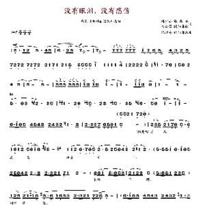 没有眼泪没有悲伤_歌谱投稿