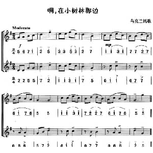 啊 在小树林那边 八孔竖笛线简谱对照版 二重奏