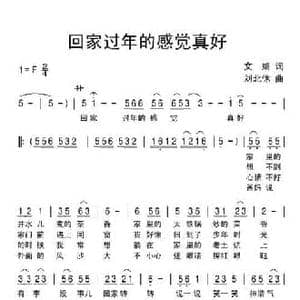 回家过年的感觉真好_民歌简谱_词曲:文婧 刘北休