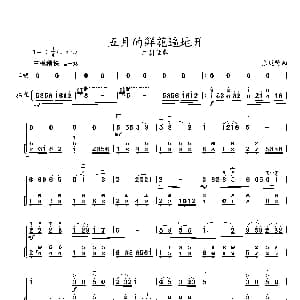 二胡谱 | 五月的鲜花遍地开 二胡独奏 扬琴伴奏 张延龄