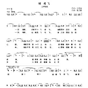 蝴蝶飞_通俗唱法乐谱_词曲:白传英 张长德