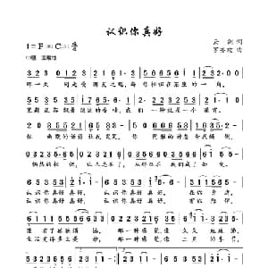 认识你真好_通俗唱法乐谱_词曲:云剑 罗亦欢