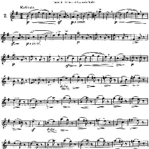 长笛曲谱 | 三十首基础及提高练习曲 NO.2 Garibold 加里波第