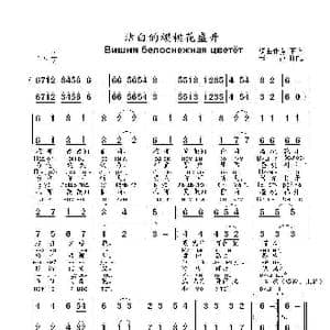 洁白的樱桃花盛开Вишня белоснежная цветёт_歌曲简谱_词曲:词曲作者 不详