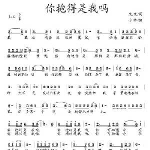 你抱得是我吗_通俗唱法乐谱_词曲:文文 小林