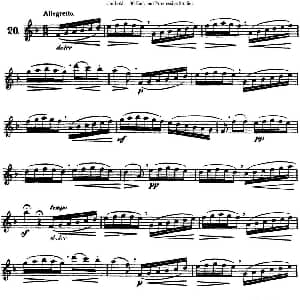 长笛曲谱 | 三十首基础及提高练习曲 NO.20 Garibold 加里波第