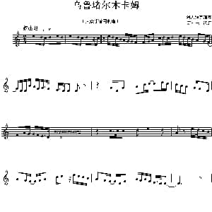 乌鲁堵尔木卡姆 新疆木卡姆曲目旋律 五线谱