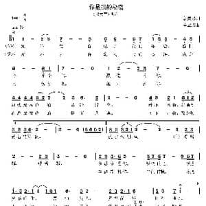 你是我的秘密_歌曲简谱_词曲:裴美琴 高立志